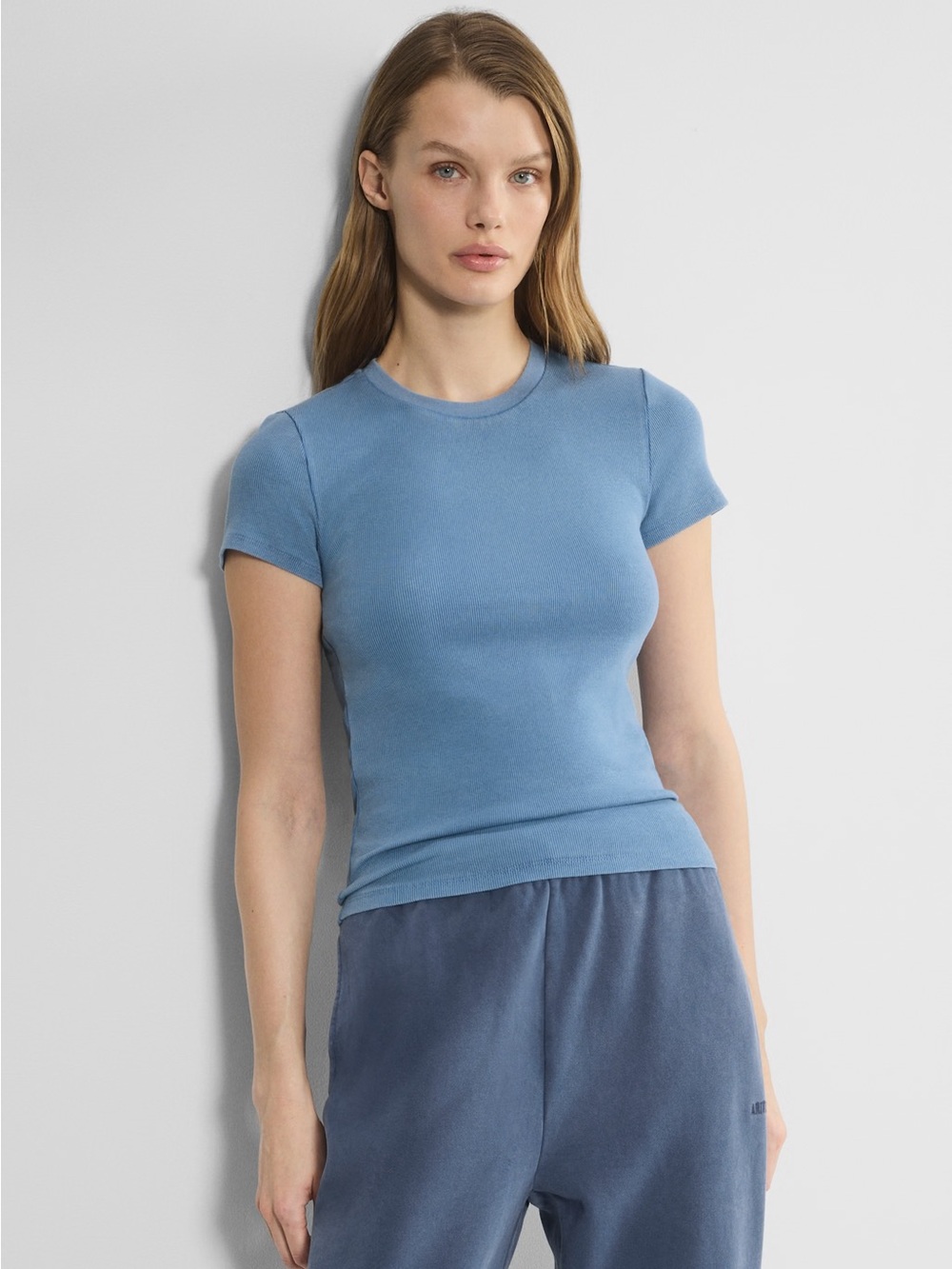 Aritzia HomeStretch Rib Crew T Shirt, “No Stress Light Blue”